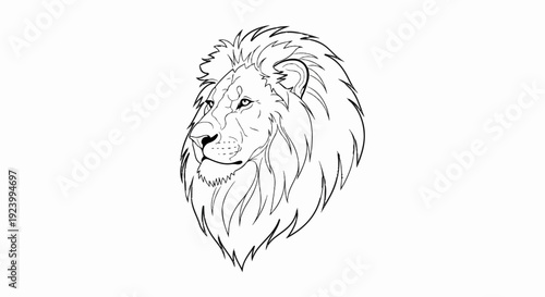 Stylized black and white line art of a lion's head with a flowing mane
