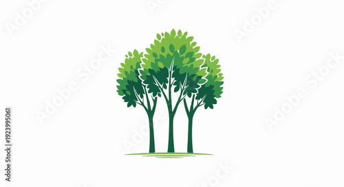 stylized illustration of three green trees with lush foliage and visible branches