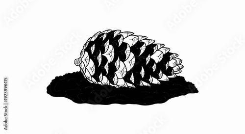 Stylized drawing of a pinecone emerging from dark earth