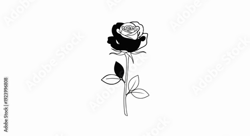 Stylized black and white rose, with bold flower head and delicate stem