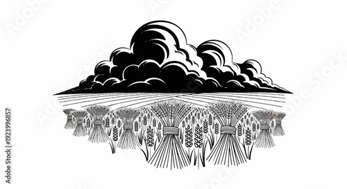 Stormy skies loom over a field of harvested wheat, tied in sheaves