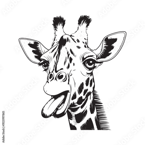 Vintage Playful Giraffe Head with Long Tongue Out Vintage Woodcut Vector Illustration