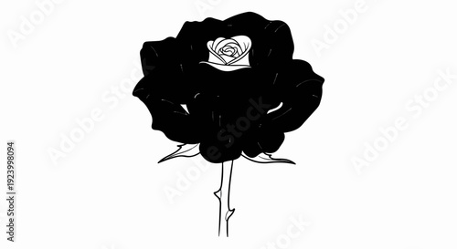Stylized black rose with a white interior bloom on a thin stem
