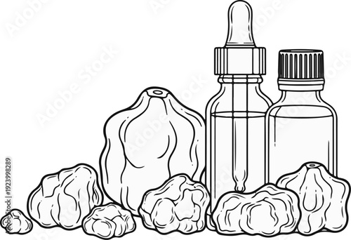 Still life drawing of essential oil dropper bottles and dried fruits