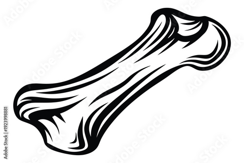 Bold knee joint displays intricate bone structure in anatomical monochrome illustration