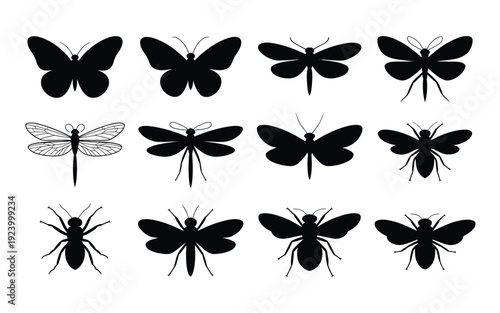 Collection of black insect silhouettes including butterflies dragonflies and flies on white background