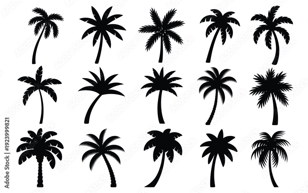 Fototapeta premium Collection of black palm tree silhouettes on white background tropical plants various shapes and sizes