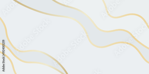 Elegant white-gray luxury background. Abstract wave dynamic wallpaper with gold lines. Template banner background for sales, business, ads, events, web, and pages