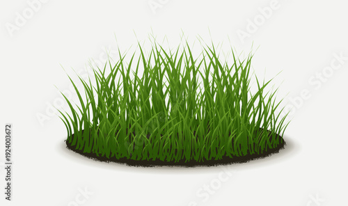 Green Grass Border Isolated White Background