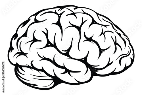 Detailed black brain illustration highlights the organ's complex structure and anatomical accuracy