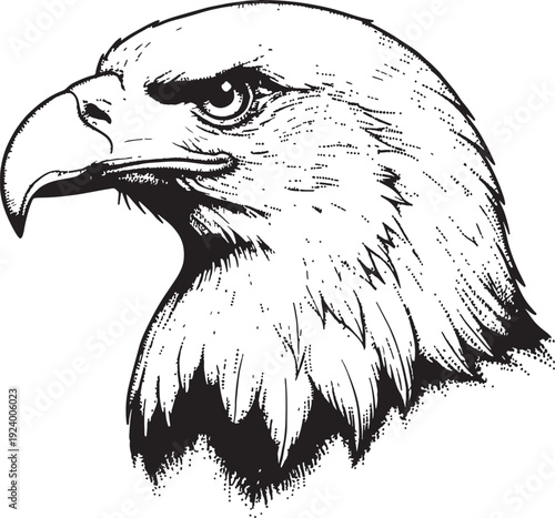 Detailed stipple engraving style illustration of a historical or natural subject, intricate linework and classic aesthetic.