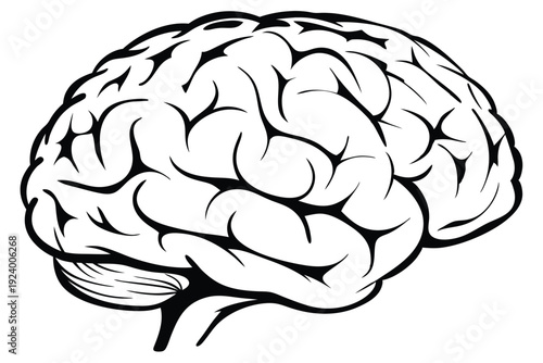 Monochrome human brain anatomy showcases detailed cortical structures on a white background for medical study