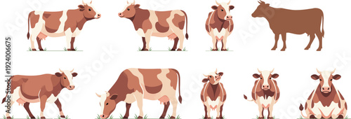 Beef and Dairy Cow Set in Various Poses Vector