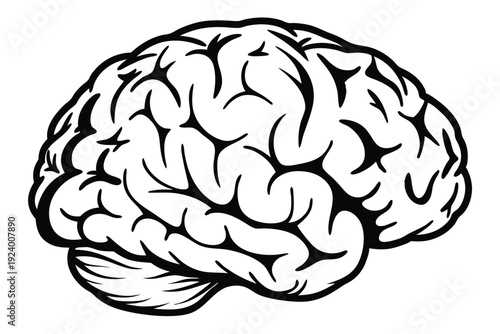 Striking black and white brain illustration embodies intricate human intelligence and thought processes