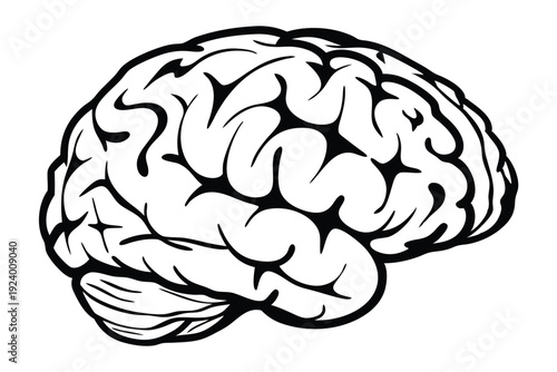 Simple of a human brain in a black outline stands out prominently