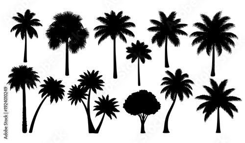 Modern Black Palm Tree Silhouette Collection for Tropical Logo and Design Vector Illustration