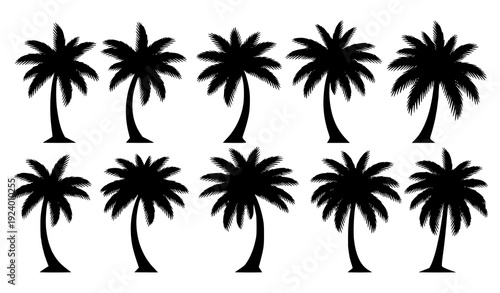 Tropical Black Palm Tree Silhouettes Horizontal Vector Set Isolated on White Background