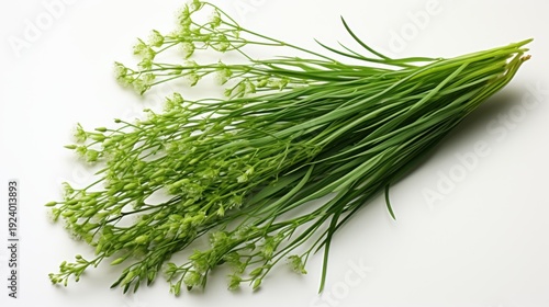 Fresh Green Onion Flowers Still Life