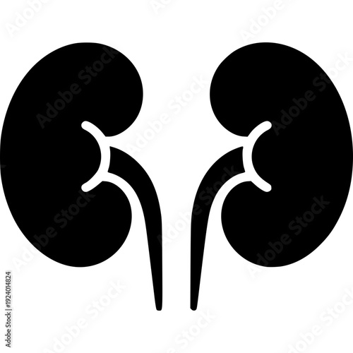 Human kidneys vector illustration icon 