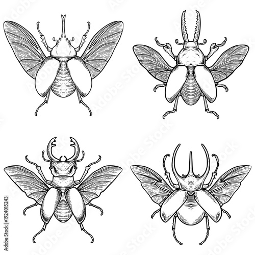 set of beetle
