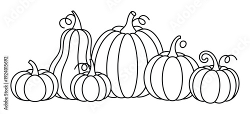 A Line of a Variety of Pumpkins and Gourds for Autumn Decoration
