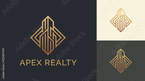 A modern geometric logo design for Apex Realty, featuring intricate lines and a sophisticated color palette, represents professionalism and prestige in the real estate market.