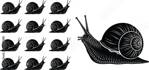 snail illustration vector artwork, small large snail comparison, black white design, animal silhouette concept, scale quantity artwork, decorative nature illustration set