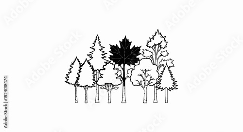 Stylized line art depicting a diverse forest with a single dark maple leaf