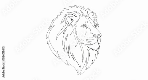 Stylized line art depicts the profile of a majestic lion's head with a full mane