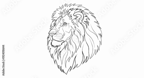 Stylized line art drawing of a majestic lion's head and mane
