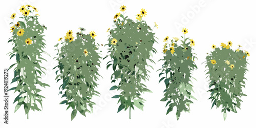 A watercolor illustration of several tall sunflower plants in bloom