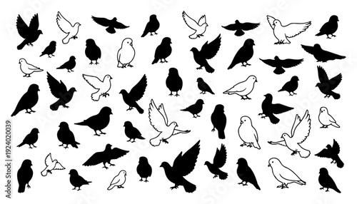 Seamless pattern featuring mixed silhouettes and outlines of pigeons and doves