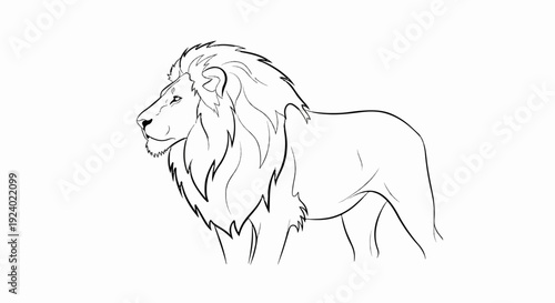 Stylized outline of a male lion with a majestic mane