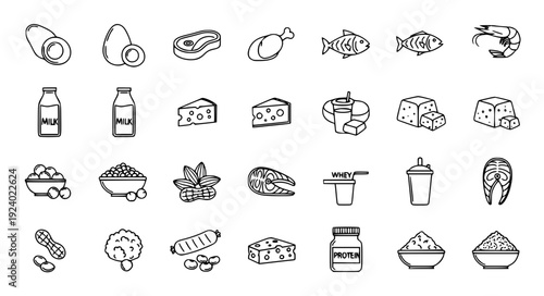 Protein Food Source Thin Line Icon Collection with Egg Meat Milk Fish Beans and Healthy Nutrition Outline Vector Set