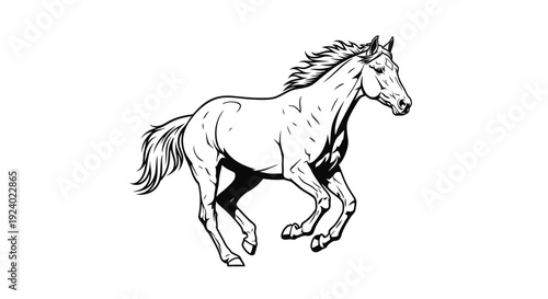 Running horse silhouette vector illustration on white background