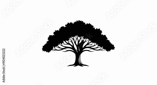 Stylized silhouette of a mature tree with a wide canopy against white background