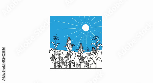 Vibrant sun shines on ripening corn stalks in a field