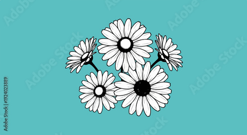 White daisy flowers arrangement on a solid turquoise background