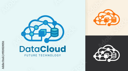 This logo represents a modern approach to cloud data management, featuring interconnected nodes and cloud elements symbolizing technology and innovation in data storage.