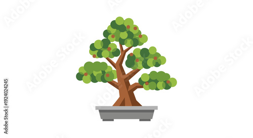 Bonsai tree illustration decorative plant in pot isolated on white background