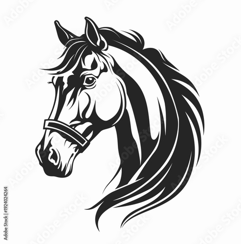 Elegant black and white horse head portrait for graphic design and print