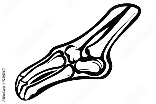 Detailed monochrome bone anatomy shows symmetrical structure with stylized radiating lines surrounding the top and bottom