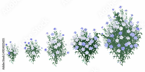 A series of floral arrangements demonstrating increasing size and density