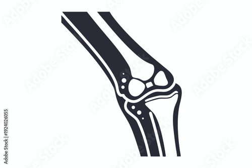 Knee bone structure showcases skeletal anatomy with an articulate joint, ligaments, and silhouette style
