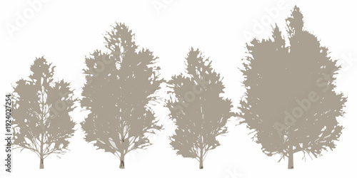 Silhouettes of coniferous trees against a plain white background