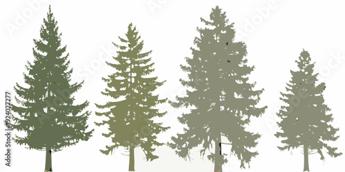 Four stylized evergreen trees stand against a plain white background