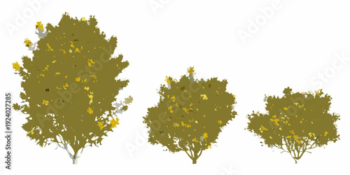 Stylized depiction of three trees in varying sizes with yellow flowers