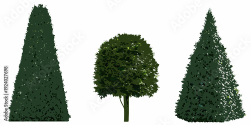 Three different shaped green trees isolated on a white background