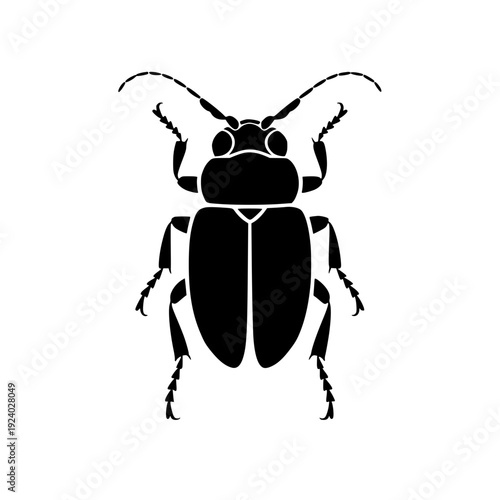 Close-up of a black beetle with distinctive antennae