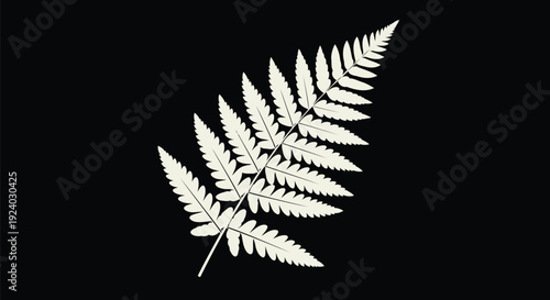 Fern Frond Monoline Outline on Black – Off-White Minimal Leaflets Vector Line Art